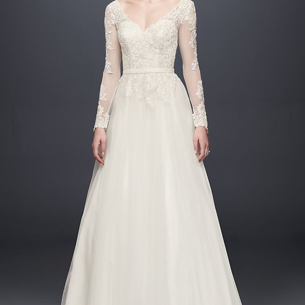 Brand New Dress and Veil